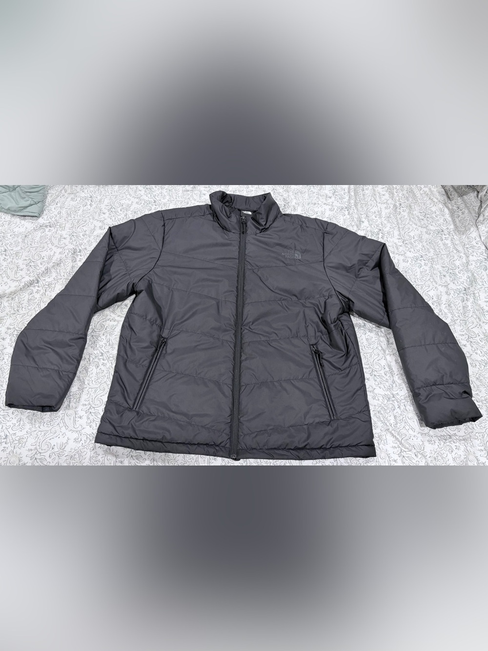The North Face Men’s Black Quilted Puffer Jacket